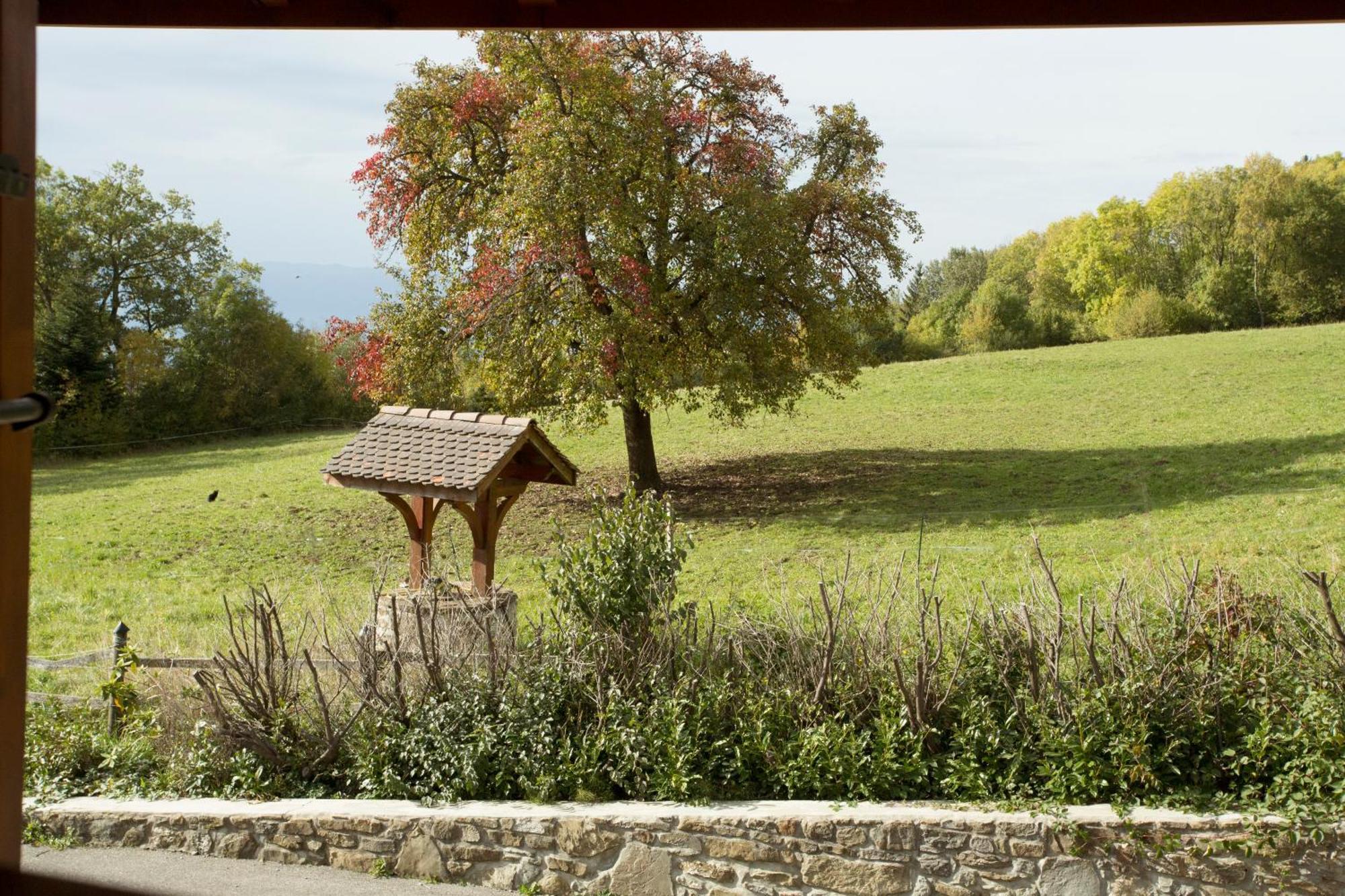 Hotel Le Bonheur dans le Pré Lucinges Exterior foto